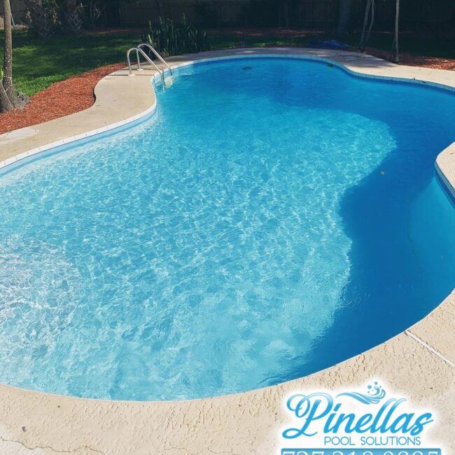 pool-service-near-meseminole-727-4 pool-service-near-meseminole-727-4