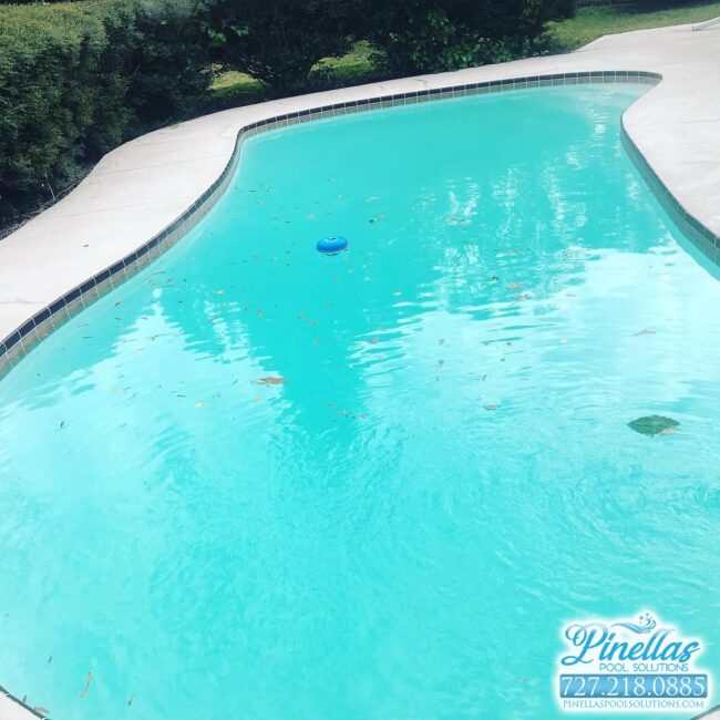 pool-service-near-me-st-petersburg-727-10 pool-service-near-me-st-petersburg-727-10