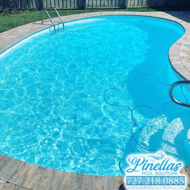 pool-service-near-me-st-petersburg-727-6 pool-service-near-me-st-petersburg-727-6