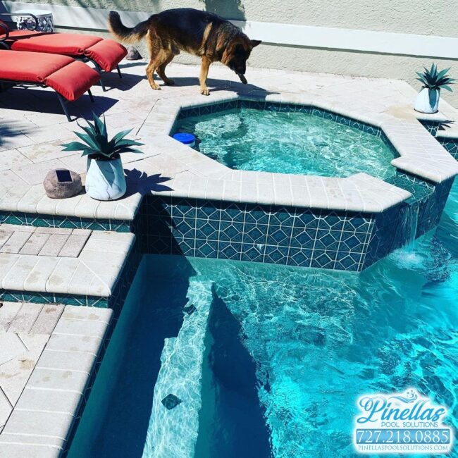 pool-service-near-me-st-petersburg-727-7 pool-service-near-me-st-petersburg-727-7