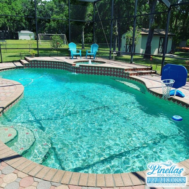 pool-service-near-me-st-petersburg-727-9 pool-service-near-me-st-petersburg-727-9