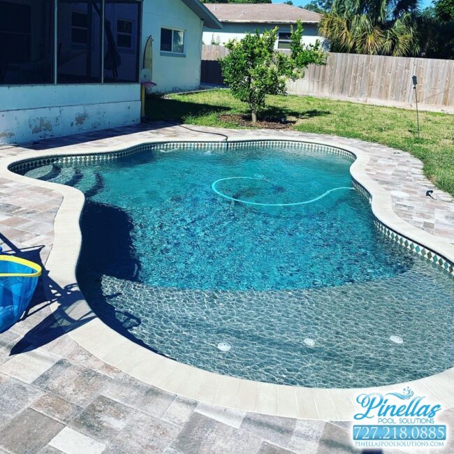 saint-petersburg-pool-service-near-me-727-11 saint-petersburg-pool-service-near-me-727-11