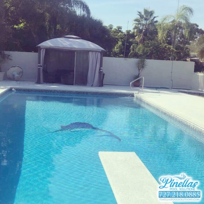 saint-petersburg-pool-service-near-me-727-14 saint-petersburg-pool-service-near-me-727-14