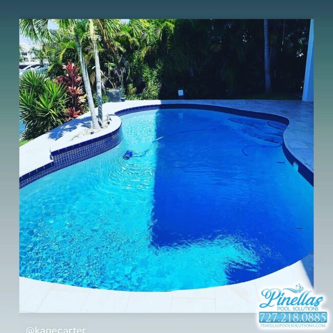 saint-petersburg-pool-service-near-me-727-15 saint-petersburg-pool-service-near-me-727-15