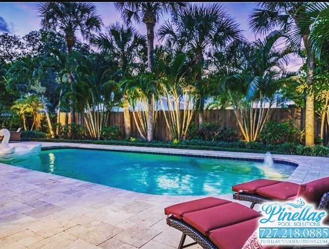 saint-petersburg-pool-service-near-me-727-2 saint-petersburg-pool-service-near-me-727-2