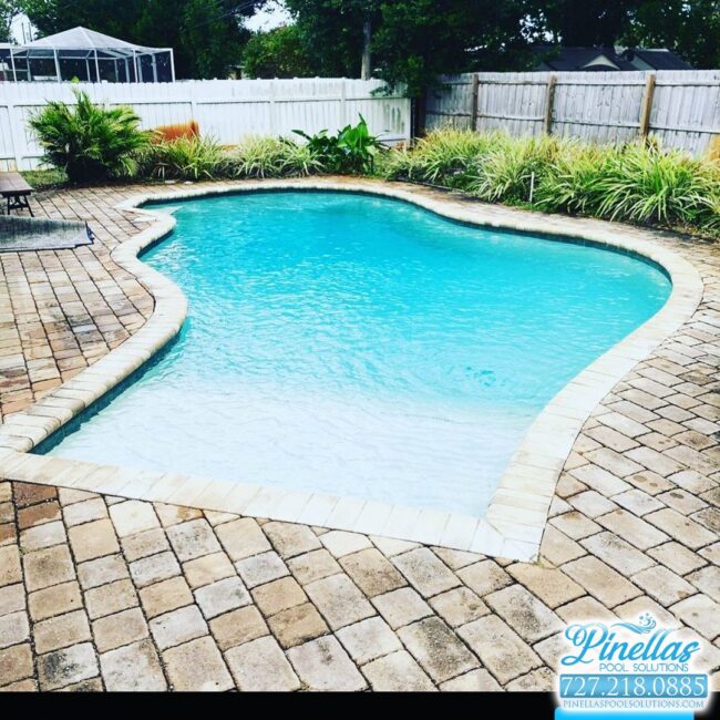 saint-petersburg-pool-service-near-me-727-5 saint-petersburg-pool-service-near-me-727-5