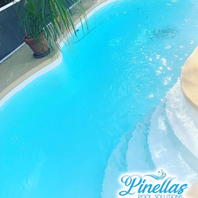 saint-petersburg-pool-service-near-me-727-8 saint-petersburg-pool-service-near-me-727-8