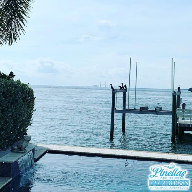 saint-petersburg-pool-service-near-me-727-9 saint-petersburg-pool-service-near-me-727-9