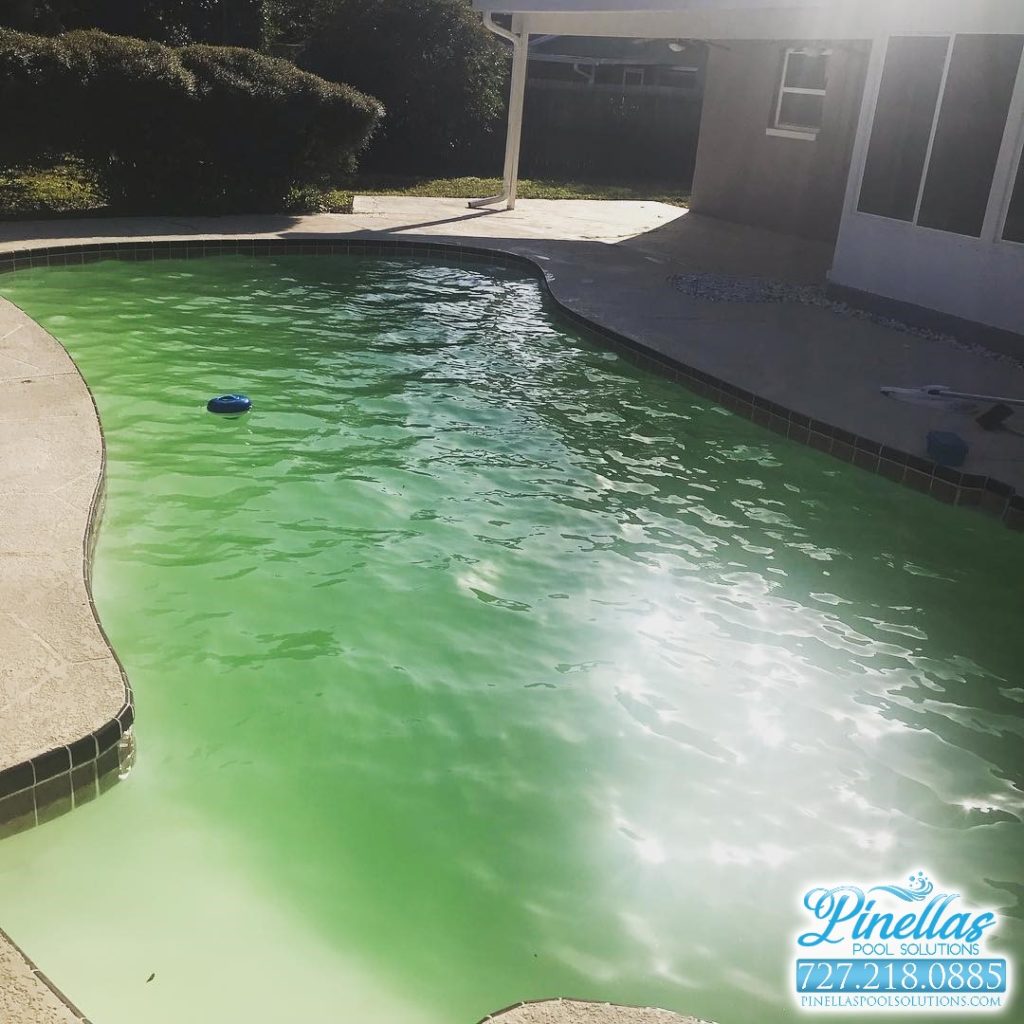 Seminole Pool Cleaning Service
