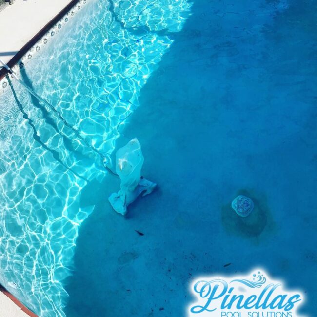 seminole-pool-service-near-me-727-3 Seminole Pool Cleaning Service