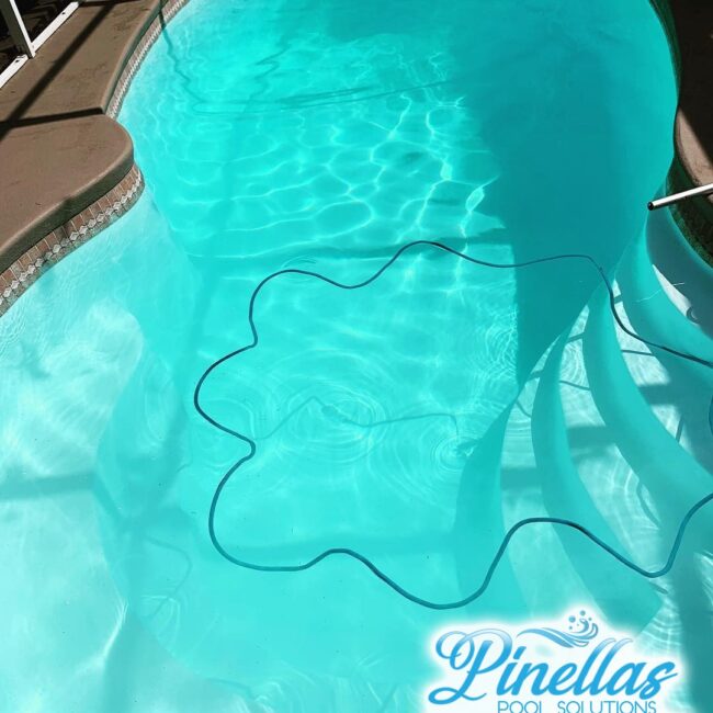 seminole-pool-service-near-me-727-6 seminole-pool-service-near-me-727-6